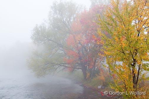 Autumn Trees In Fog_08591-2.jpg - Canadian Mississippi River photographed at Appleton, Ontario, Canada.